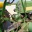 john-deere-620-image-25