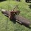 rear-blade-image-3