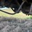 #89-•-#25029-•-inop-1987-gmc-c7-t/a-flat-bed-truck-vin:-1gdj7d1b9hv514155-image-14