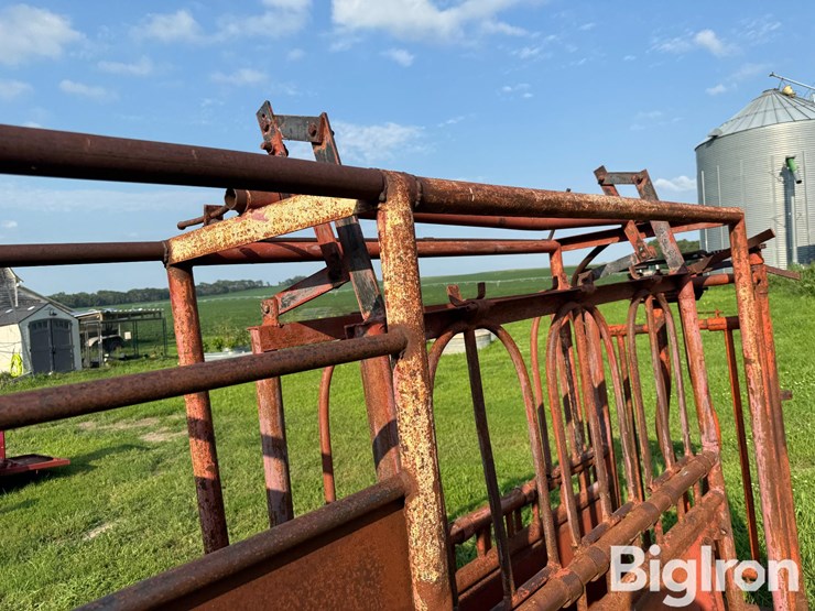 cattle-chute-image-11