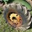 john-deere-ar-image-9