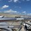 2011-midwest-feed-trailer-(dr11876-unit-6005)-image-38