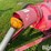 150-kw-generator-image-9