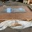 #4074-•-unused-2024-landhonor-three-person-indoor-infrared-sauna-room-image-2