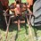 1961-allis-chalmers-d17-image-14