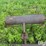 branding-stove-trailer-image-14