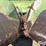 john-deere-844-image-14