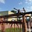 cattle-chute-image-18