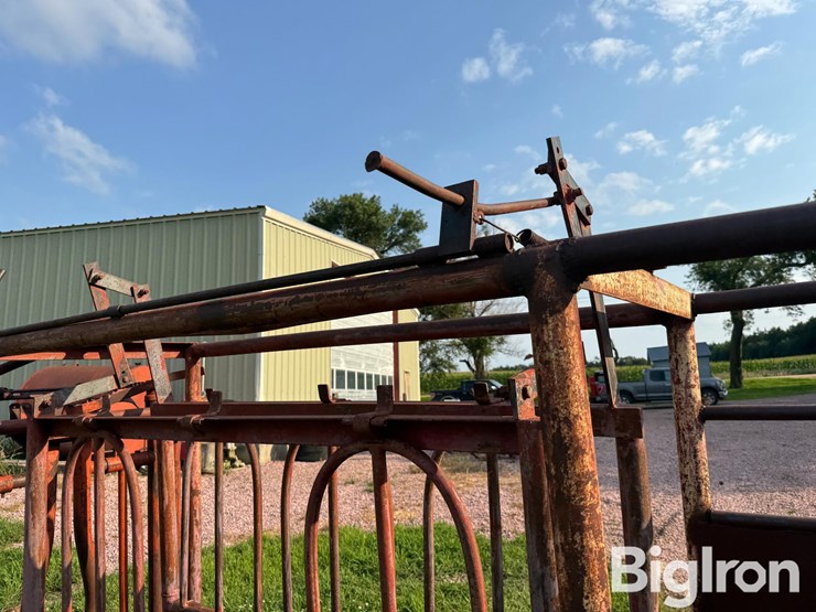 cattle-chute-image-18