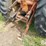 1961-allis-chalmers-d19-image-19