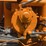minneapolis-moline-utc-image-32