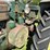 john-deere-bwh-image-11