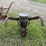 cole-horse-drawn-planter-image-3