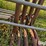 freestanding-panels-w/gate-image-12