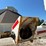 1995-freightliner-dry-tender-truck-(cp0609,-unit-2142)-image-24