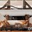 2004-ihc-9400i-dry-tender-truck-(gp11023,-unit-193)-image-36
