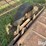 cattle-chute-image-14
