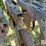 great-plains-3s-3000-image-19