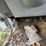 2005-ford-f150-image-21