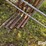 freestanding-panels-w/gate-image-11