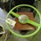 1940's-ford-steering-wheel-image-1