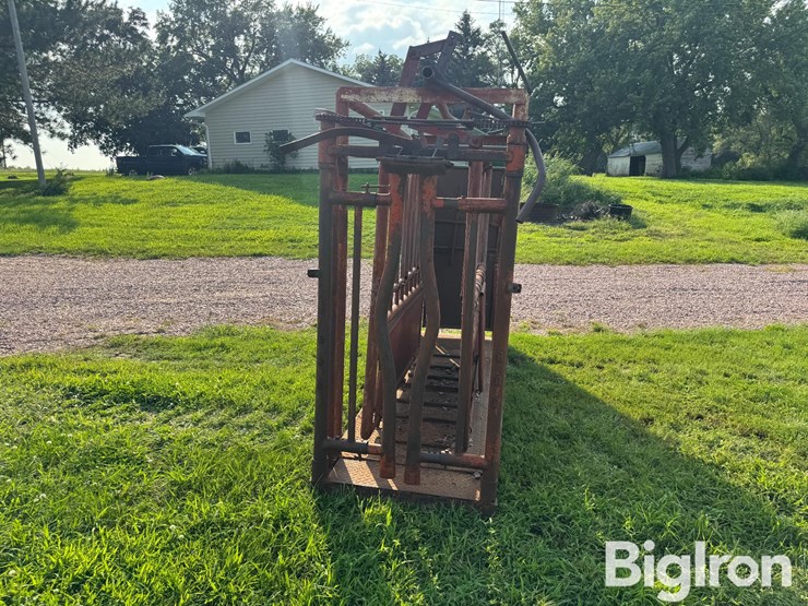 cattle-chute-image-6