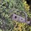 international-1066-image-9