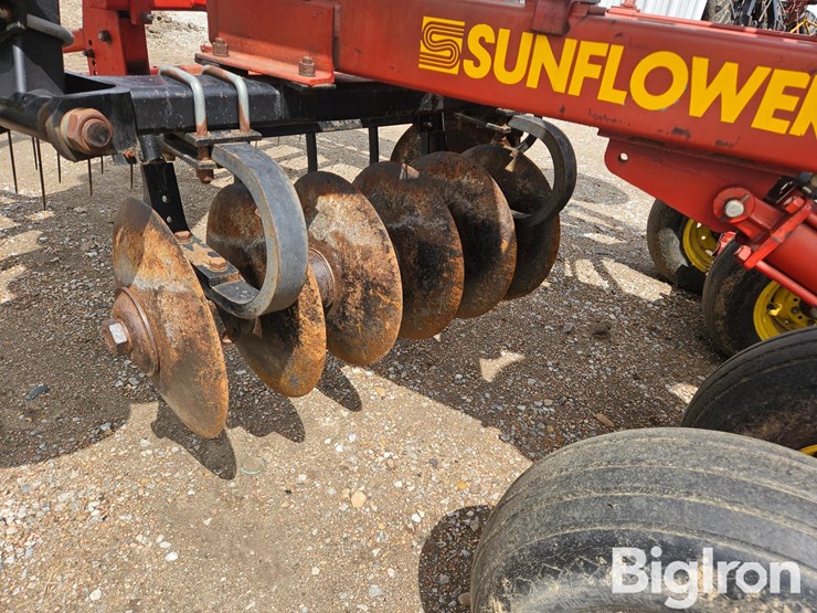 sunflower-1433-25-image-19