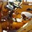 john-deere-300-image-5