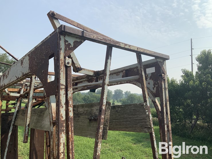 cattle-chute-image-19
