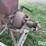 ear-corn-grinder-image-10