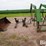 john-deere-4455-image-2