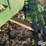 cox-creep-feeder-image-10