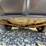 #10-•-#26540-•-2015-dodge-charger-sedan-vin:-2c3cdxat6fh125756-image-9