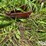 new-holland-354-image-9