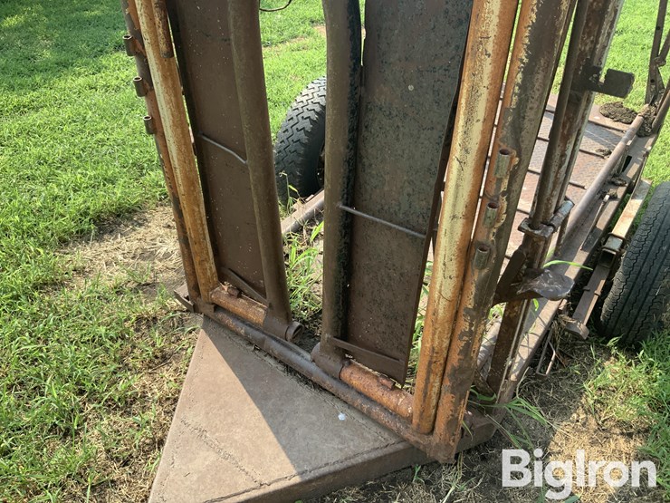 cattle-chute-image-11