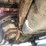 2003-ford-f350-image-24