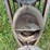 cole-horse-drawn-planter-image-13