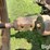 1953-john-deere-60-image-14
