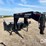 2002-gold-star-gooseneck-trailer-(gp11120,-unit-76073)-image-4