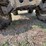 honda-trx450s-image-25