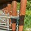 freestanding-panels-w/gate-image-11