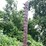 #7472-•-john-deere-sickle-mower-image-12
