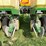 john-deere-7000-image-19