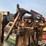 cattle-chute-image-16
