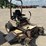 grasshopper-227-image-3