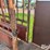cattle-chute-image-16