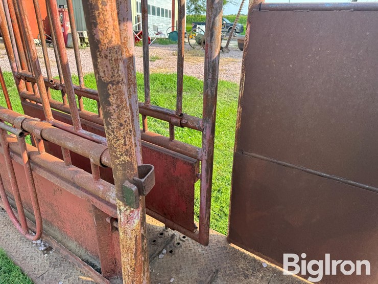 cattle-chute-image-16