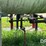 lp-storage-tank-(jn2561)-image-12