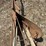 mccormick-deering-no.-415-7”-walking-plow-image-17